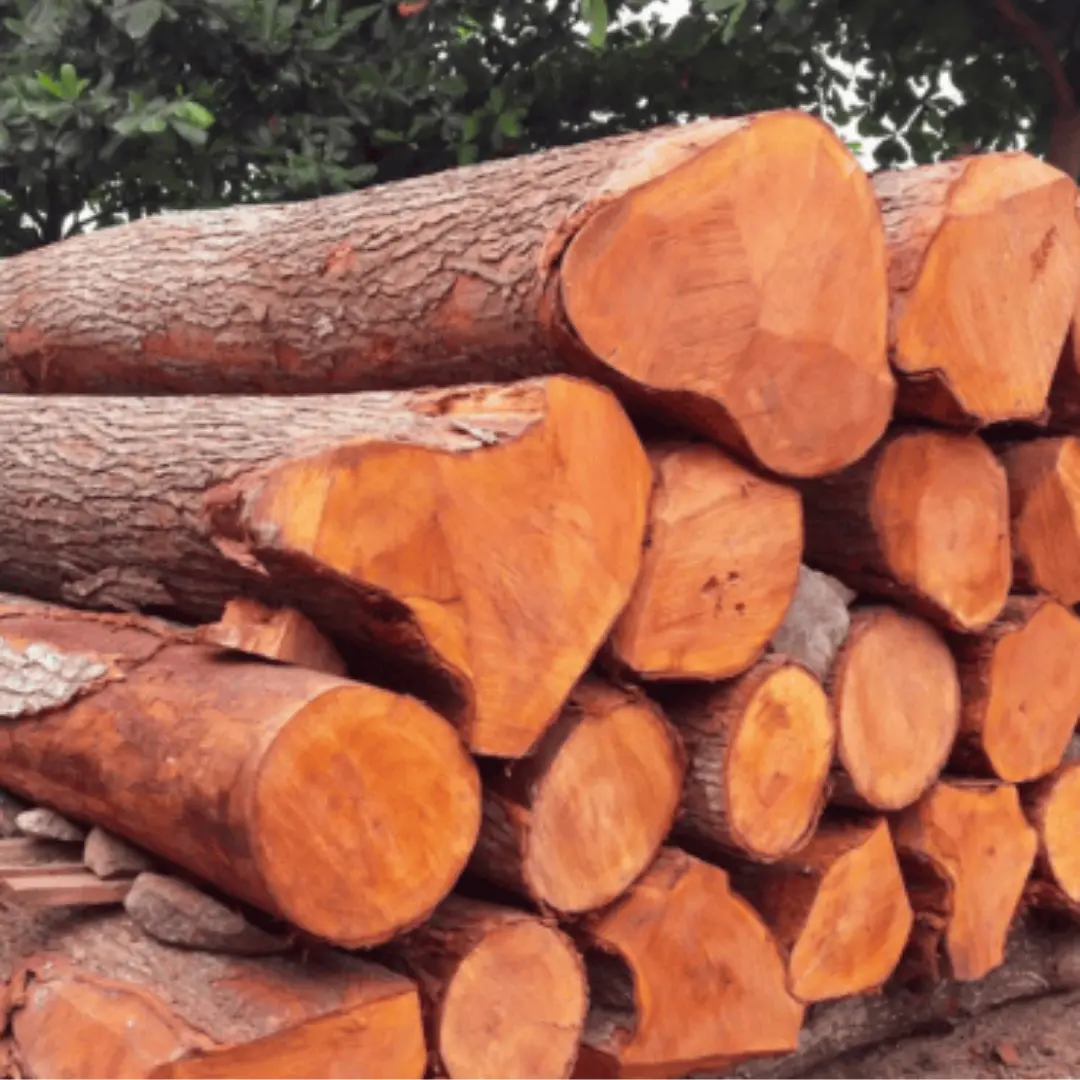 Mahogany Wood