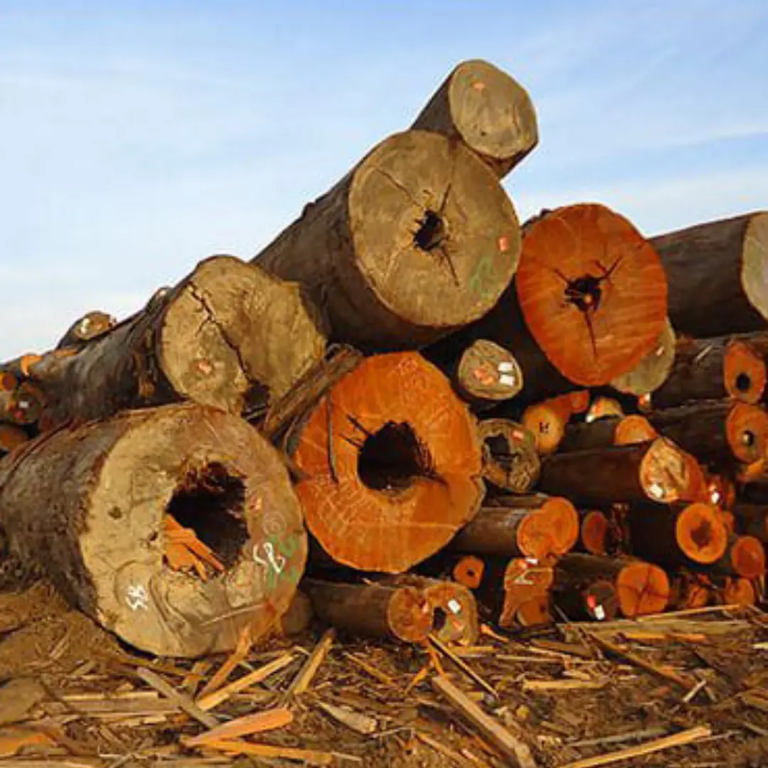 Meranti Logs