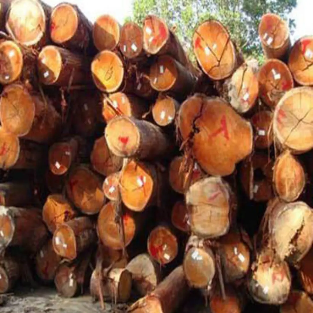 Meranti Wood Logs