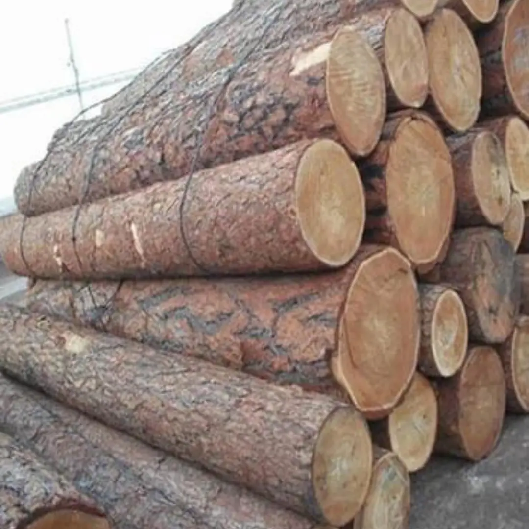 New Zealand Pine Wood
