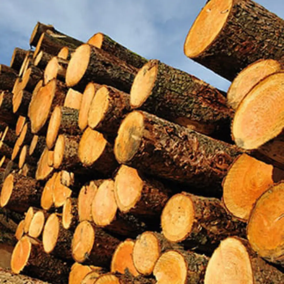 Leak Lumber